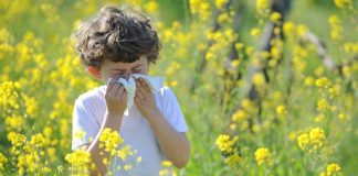 Naso chiuso, starnuti e lacrime: arrivano le allergie di primavera. Come riconoscerle e cosa fare