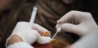 Aviaria, bimbo di 3 anni morto per influenza H5N1 in Cambogia