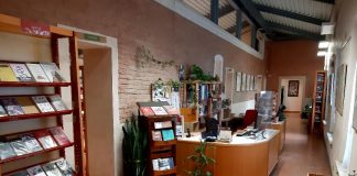 “Persone non perfette cercasi”: le Job Weeks di Gonzaga