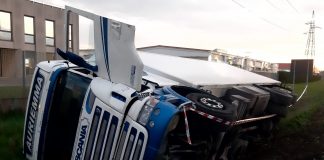 Camion si ribalta nel fosso a Polesine di Pegognaga, ferito l’autista 56enne