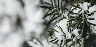 Temperature giù di 10 gradi, colpo di coda dell’inverno sull’Italia
