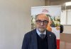 Diabete, Frasoldati (Ame): “Per paziente serve team multidisciplinare”