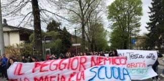 Suzzara, Memoria e Speranza: l’Ulivo che onora le Vittime delle mafie