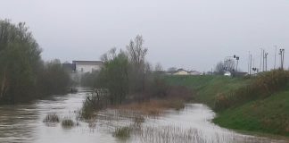 Bondanello, il Secchia sale a quasi 9 metri ma senza criticità