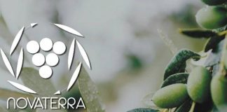 Unaprol, Progetto ‘Novaterra’, per olio più sostenibile e maggiore redditività per gli agricoltori