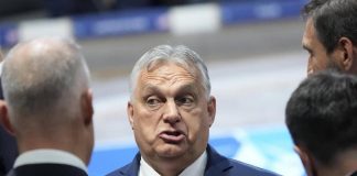 Ucraina, Orban si schiera con Trump e scrive all’Ue. Rutte avverte Zelensky