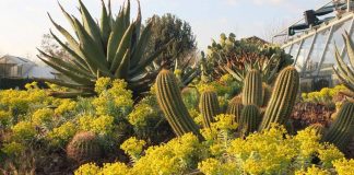 L’ Università di Roma Tor Vergata apre orto botanico a scuole e cittadini per esperienza sostenibile
