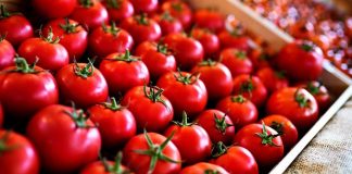 Dai pomodori alle auto, ecco come i dazi di Trump potranno far salire i prezzi