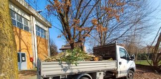 Mottella, abbattuti gli alberi a rischio cedimento alle medie “Don Milani”