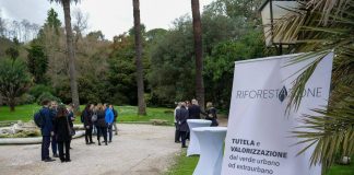 Tutela del verde in 13 città metropolitane, Mase lancia ‘RiforestAzione’
