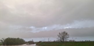 Il Secchia a Bondanello sale a 8,50m, ma resta sotto la soglia di attenzione