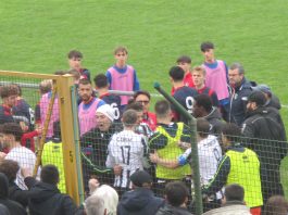 Suzzara, rissa finale in campo e sugli spalti all’Allodi: arrivano i carabinieri
