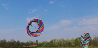 Pasquetta tra aquiloni e natura alla Foresta Carpaneta