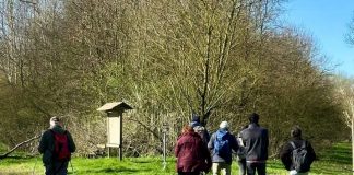 In cammino nell’Isola Cirene con le Guardie Ecologiche Volontarie del Parco
