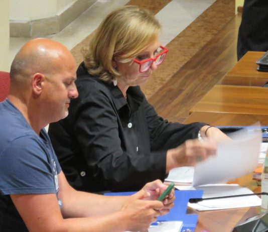 Suzzara, passo carrabile ostruito, scontro tra maggioranza e “Consenso Civico”