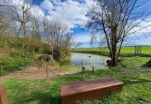 Interventi Pnrr, Provincia: lavori scuole per oltre 23 milioni e recupero Parco Villa Strozzi