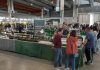Esotika Pet Show e Mondo Bonsai conquistano i visitatori a Gonzaga
