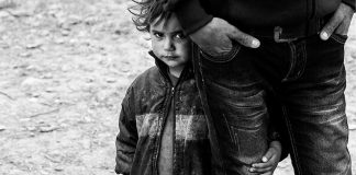 “Vi lascio la pace”: Annalisa Vandelli a Suzzara per un evento sulla pace