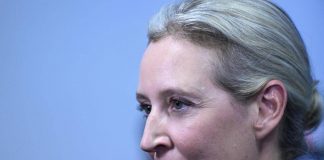 Germania, sondaggio incorona Afd: primo partito con 25%
