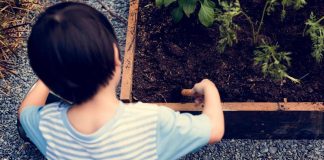 Autismo, ecco i 10 campanelli d’allarme per riconoscerlo