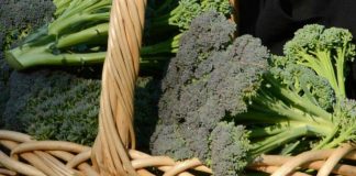 Broccoli superfood anti-aging, l’immunologo-nutrizionista: “Non può mancare 2 volte a settimana, sorprendente e salutare”