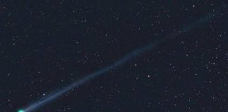 Arriva la ‘cometa del primo maggio’, ecco picco di luminosità di Swan
