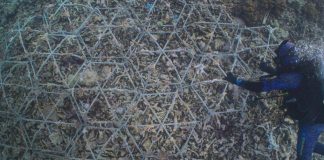 Ripristino barriere coralline, su Prime Video il documentario Reef Builders