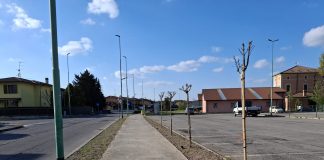 Porto Mantovano, in sostituzione le essenze nelle aiuole di via Picasso e via Bersaglieri