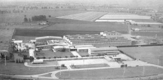 Agroalimentare, pisellini primavera Findus compiono 60 anni