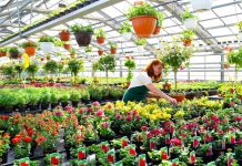 Nuovo contratto operai agricoli e florovivaisti: aumenti del 5,1%. Nel Mantovano coinvolti 9mila lavoratori