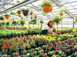 Nuovo contratto operai agricoli e florovivaisti: aumenti del 5,1%. Nel Mantovano coinvolti 9mila lavoratori