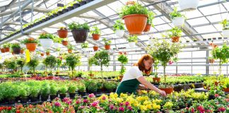 Coldiretti: ottenuta l’esenzione dal Contributo Ambientale Conai