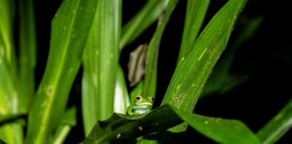 “Il Mondo Che Vorrei”: la Natura vista attraverso l’obiettivo di Tomaso Barion