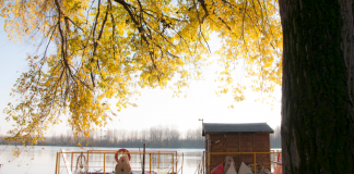 Nuovi bandi del Gal Terre del Po 2.0: primi incontri a Quistello e Casalmaggiore