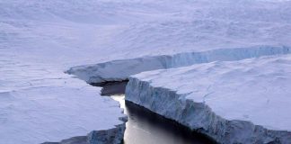 Marzo 2025 “il secondo più caldo della storia”