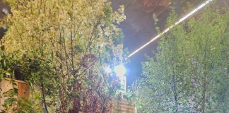 Euroflora Genova, primo premio ai vivaisti del distretto PlantaRegina di Canneto