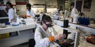 Tumori della testa e collo, studio ‘con pembrolizumab -27% rischio recidiva o morte’