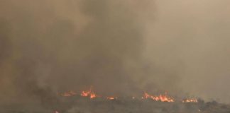 Israele in fiamme, l’appello di Hamas: “Bruciate tutto per vendicare Gaza”