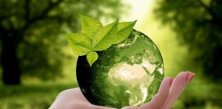 Storie di ambientalismo, al via Italia green film festival