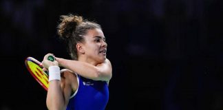 Niemeier-Paolini a Stoccarda: orario, precedenti e dove vedere il match