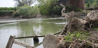 Locomotiva nell’Oglio, il lungo sonno sta per finire: com’era quando riemerse con la siccità