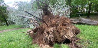 Nubifragio e vento fortissimo tra Mantova e Curtatone. Grossi danni a Eremo