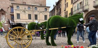 Mantova Fiorita fa il pieno di visitatori e si conferma un successo