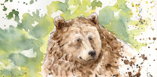 “Presenze Silenziose”: a Bosco Fontana un viaggio tra natura, grandi carnivori e possibili coesistenze