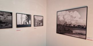 “Vite intorno ai laghi”, la mostra di Querci che racconta pezzi di storia mantovana