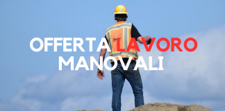 Offerte di lavoro per manovali in Lombardia: Ecologica Piemontese / Settore Ambientale