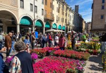 Fiori, installazioni e spettacoli: Mantova nel week end diventa un giardino a cielo aperto