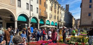 Fiori, installazioni e spettacoli: Mantova nel week end diventa un giardino a cielo aperto