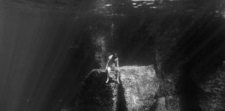 In mostra a Roma ‘Le Trésor du Poisson’ e ‘Riviera Ludica’ di Viola Damiani