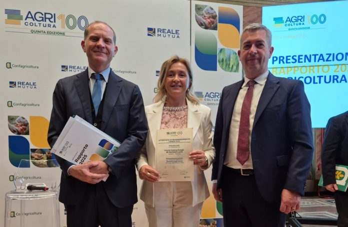 CORTE CAMERLENGA PREMIATA AGRICOLTURA 100